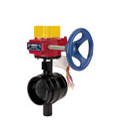 300 LB. WWP BUTTERFLY VALVE