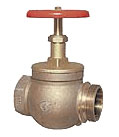 GLOBE VALVES, BALL VALVES & CAPS, 5300-5500 SERIES